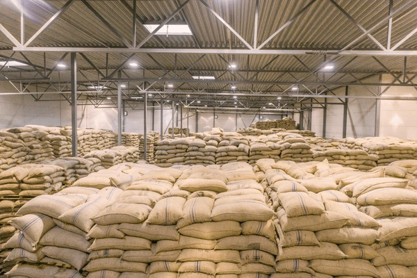 Fondation D&S TRADING